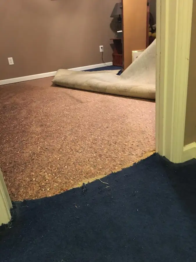 Carpet pad removal revealing water damage during Water Mitigation Services in Deer Park